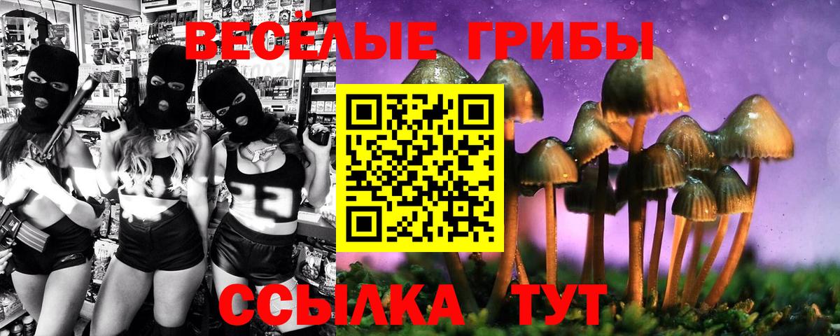 Галлюциногенные грибы GOLDEN TEACHER Полевской