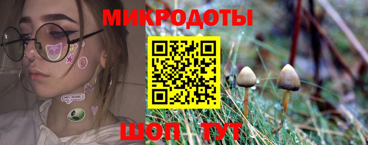 Полевской  Псилоцибиновые грибы мухоморы  Вход с VPN 